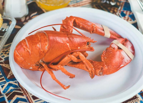 Our Food Recommendation