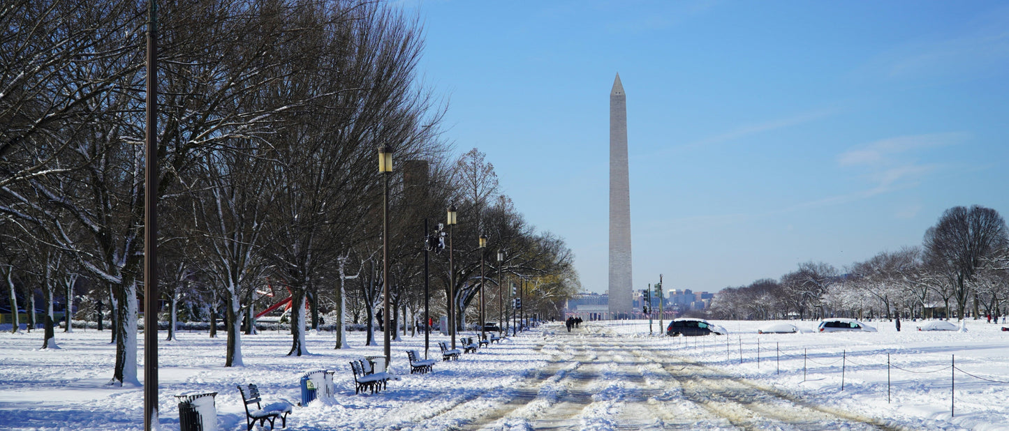 Cad & The Dandy New York