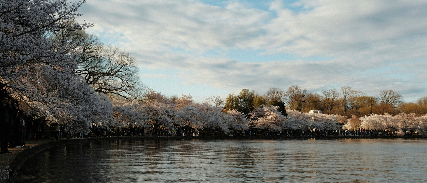 Cad & The Dandy Washington DC trunk show for bespoke suits near the White House and National Mall