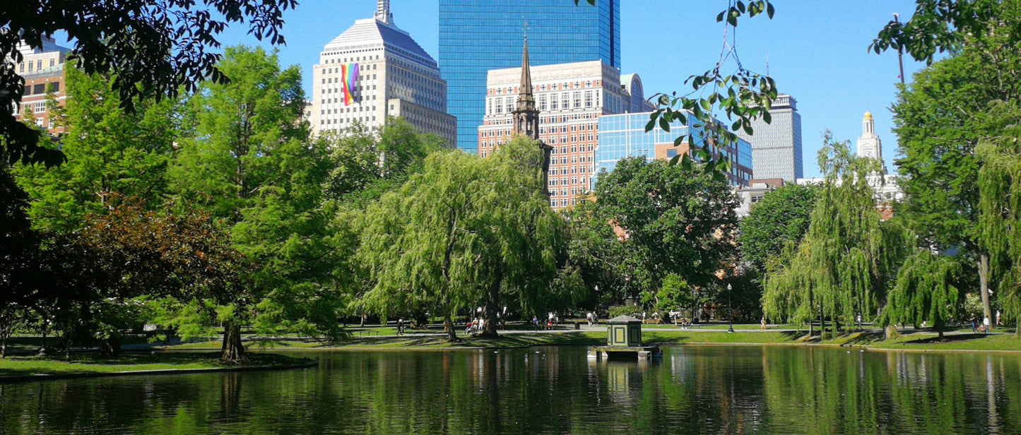 Cad & The Dandy New York