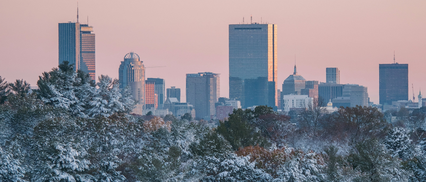 Cad & The Dandy New York