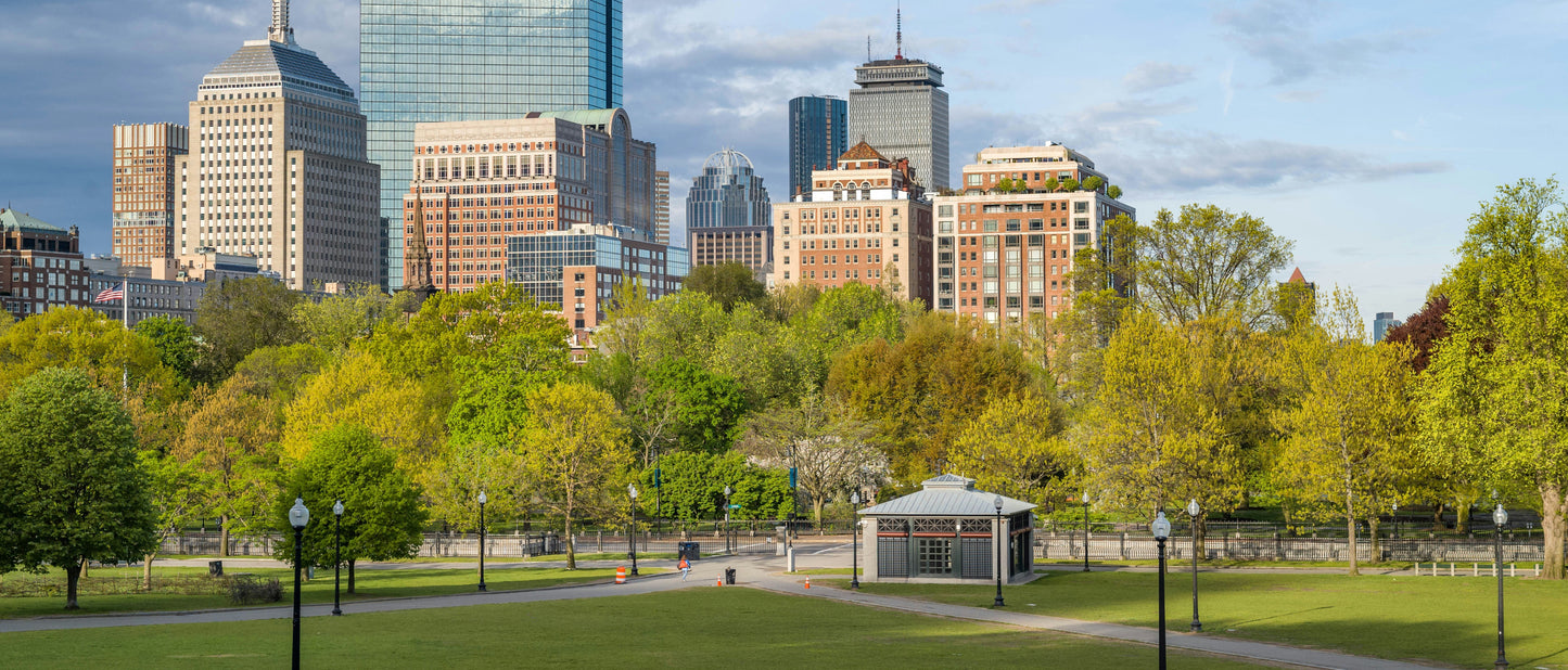 Cad & The Dandy New York