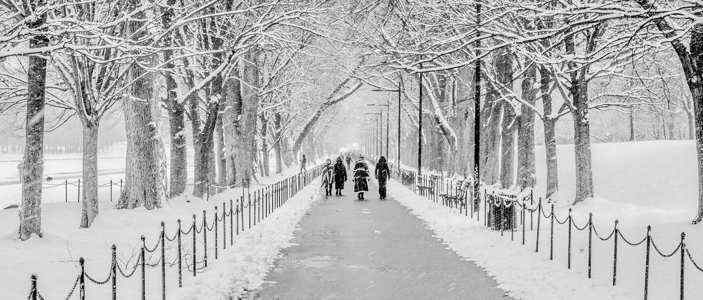 Cad & The Dandy New York